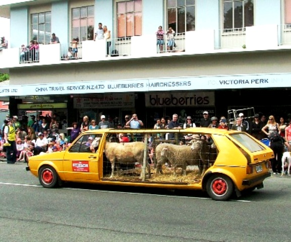 Model Hooker in New zealand